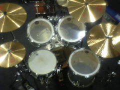 Photo - Starclassic Performer