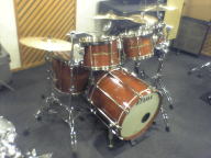 TAMA - photo