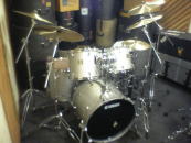 Maple custom Absolute